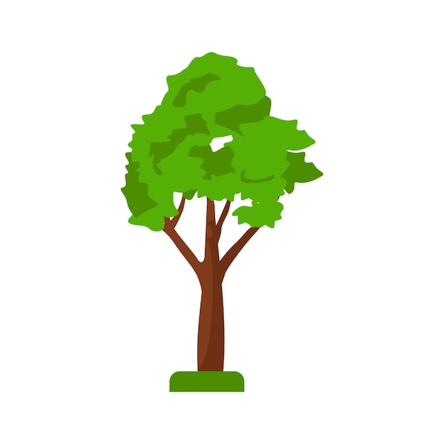ein Baum mit einem grünen Blatt darauf