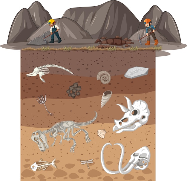 Vektor ein bergmann auf der erde und ein fossiler untergrund