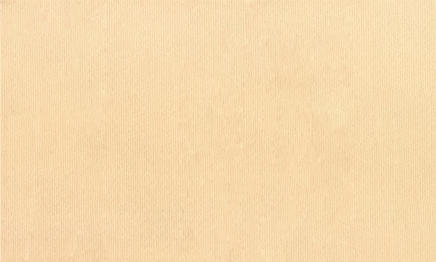 ein Blatt Papier mit einer Textur aus hellbraunem Papier