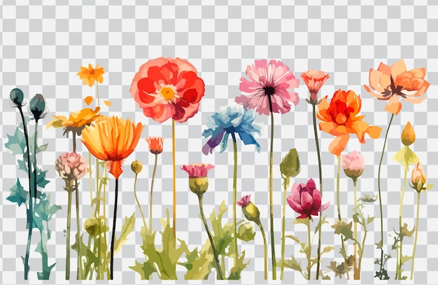 Ein Blumenstrauß auf transparentem Hintergrund.