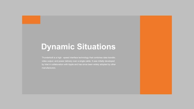 ein Buch mit einem orangefarbenen Cover, auf dem steht: Professional Systems