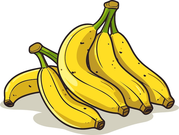 Ein Bündel reifer gelber Bananen, isoliert auf weißem Hintergrund, Vektorfarbbild