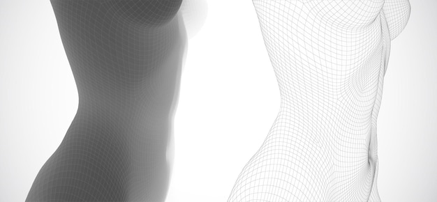 Ein dreidimensionaler weiblicher körper aus quadratischen polygonen