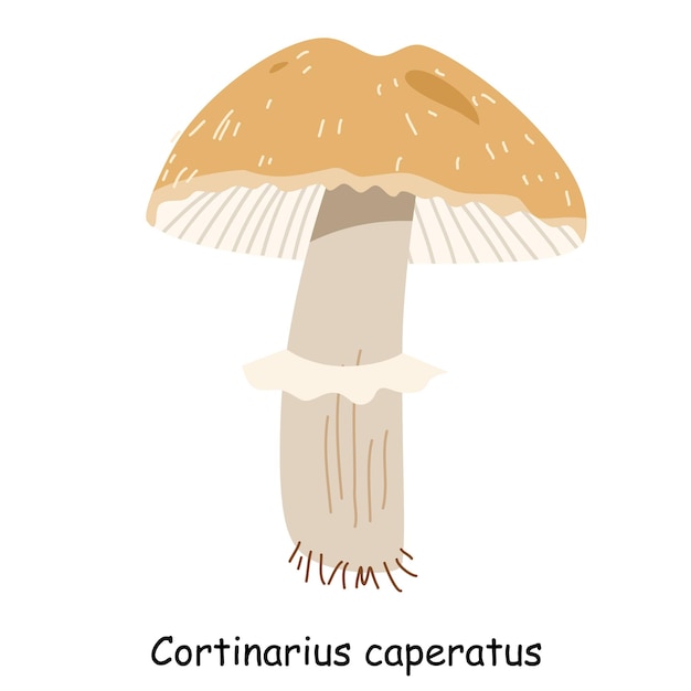 Vektor ein flacher vektor eines speisepilzes isoliert auf weißem hintergrund