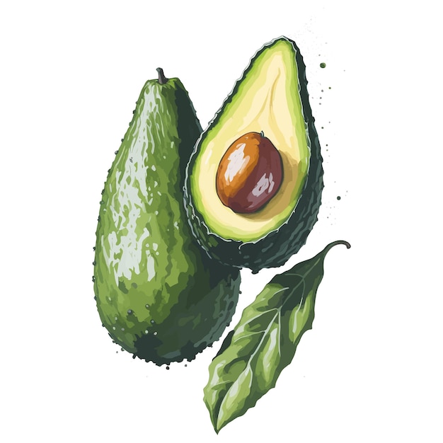 Ein Gemälde einer Avocado und eines Blattes, auf dem „Avocado“ steht.