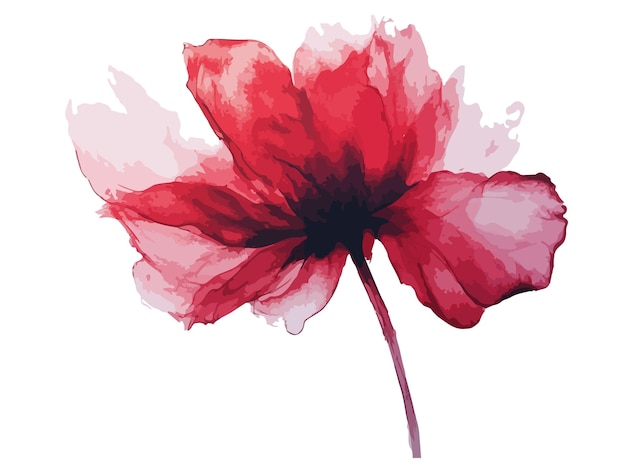 ein Gemälde einer roten Blume mit dem Wort Hibiscus