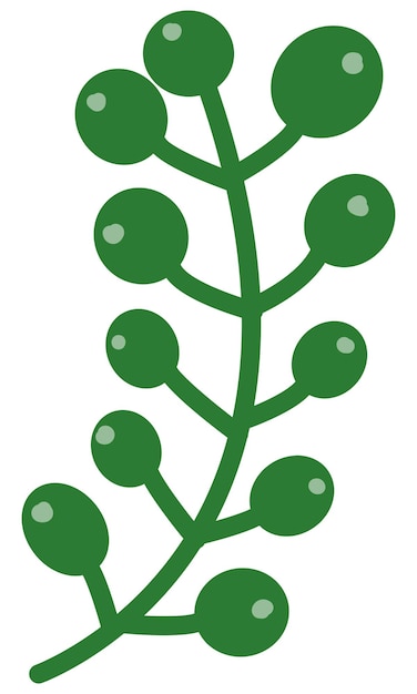 ein grüner Olivenzweig