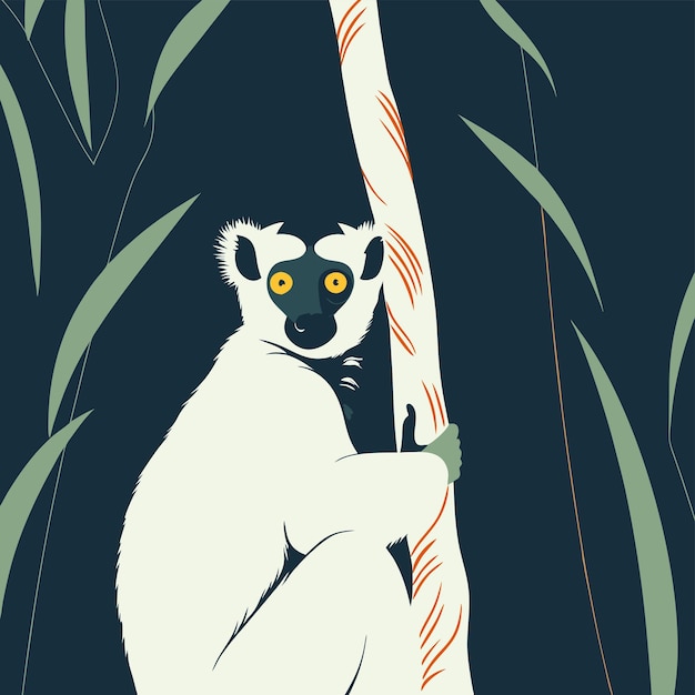 ein Koala sitzt auf einem Baumzweig mit dem Wort Lemur darauf