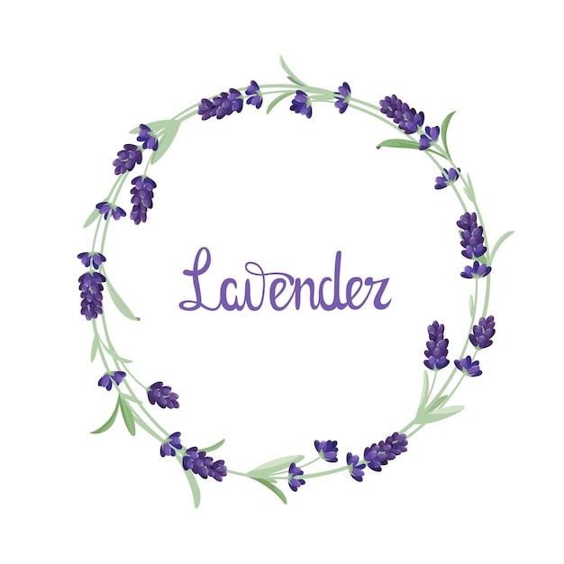 Ein kranz aus lavendel auf weißem hintergrund cartoon-design