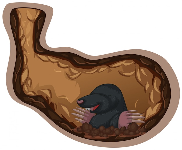 Ein mole living underground loch