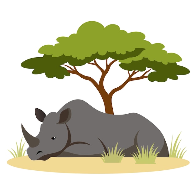 ein Nashorn und ein Nashorn liegen im Gras