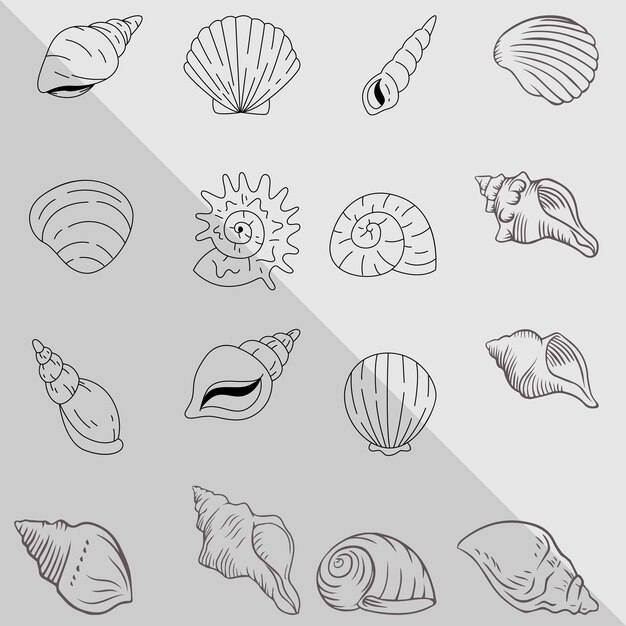 Ein neuer Umriss für Meeresmuscheln Tropische Unterwassermuscheln Süßwasseralgen Korallen Meeressterne