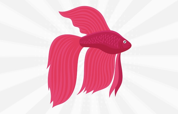Ein roter fisch mit schwanz und schwanz ist auf einem weißen hintergrund.