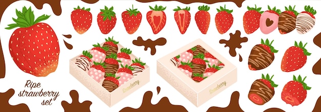 Vektor ein satz reifer erdbeeren, die mit schokoladenglaze bedeckt sind, in einer schachtel geschenk für valentinstag und romantisches date vektorillustration im naturalistischen stil