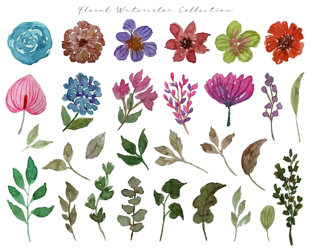 Ein Satz schöner handgemalter Blumen- und Blattaquarelle