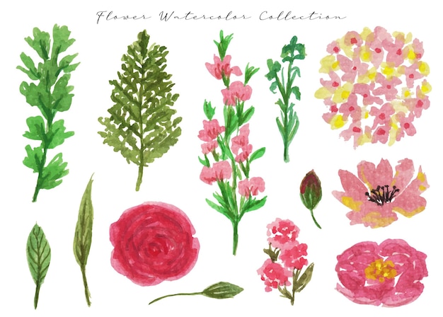 ein Satz schöner handgemalter rosa Blumen- und Blattaquarelle