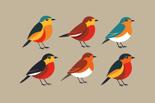 Ein Satz von Robin-Vogel-Vektorkunstillustrationen