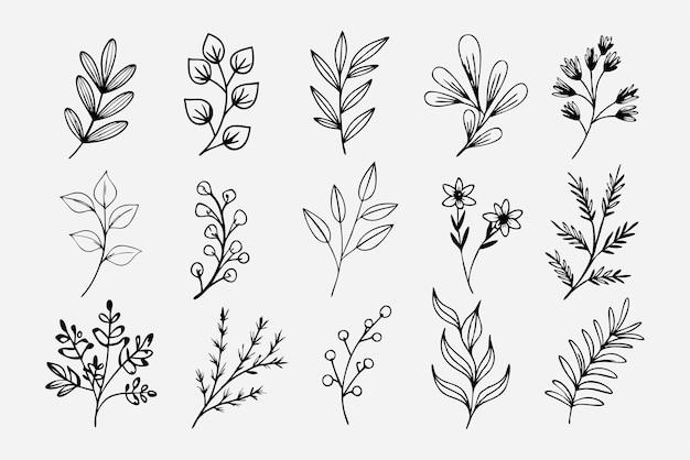 Ein Satz von Wildblumen Blumenzweige und minimalistische Blätter für Logos oder Tätowierungen