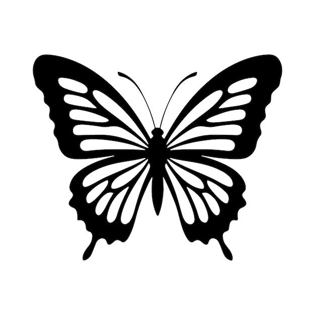 ein schwarz-weißer Schmetterling mit weißen Flecken