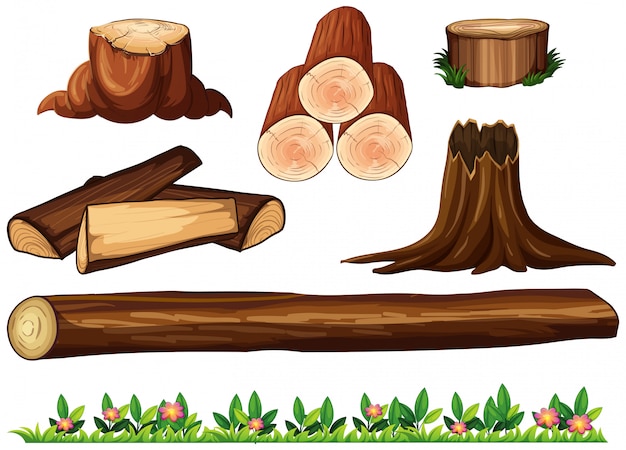 Ein Set Holz auf weißem Hintergrund