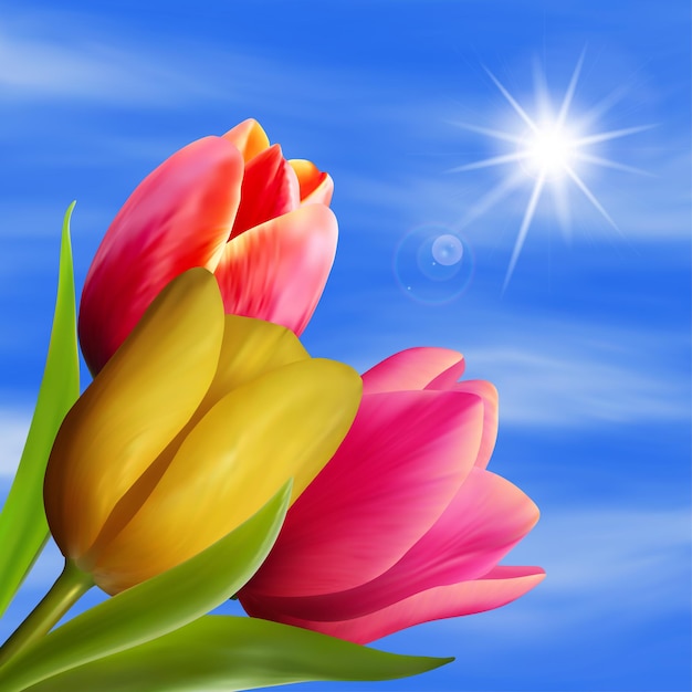 Ein Strauß Tulpen auf einem Hintergrund des blauen Himmels die Sonne scheint helle Frühlingshintergrund-Vektorillustration