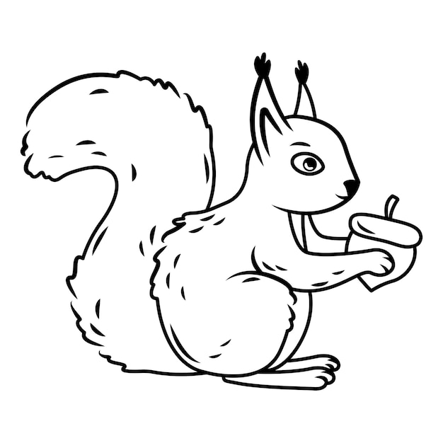 Ein süßes rotes Eichhörnchen sitzt wie eine Nuss in seinen Pfoten Umrissbild Vektorillustration Waldtiere