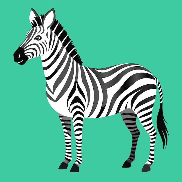 ein Zebra mit schwarzen und weißen Streifen auf seinem Gesicht