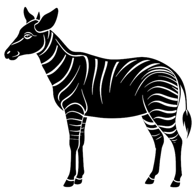 ein Zebra wird mit einem schwarz-weißen Hintergrund dargestellt