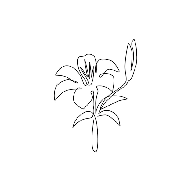 Eine einzige Strichzeichnung einer schönen frischen Lilie. Druckbare echte Lilienblume für Hochzeitskarte