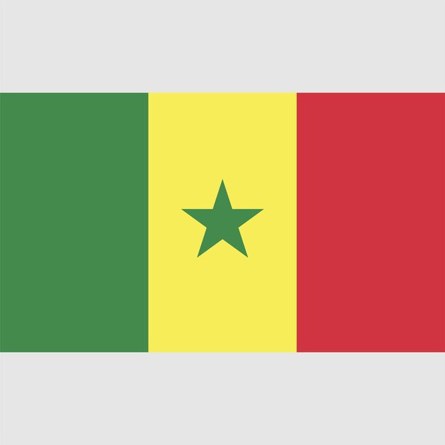 Eine Flagge, die Senegal mit einem Stern darauf sagt.