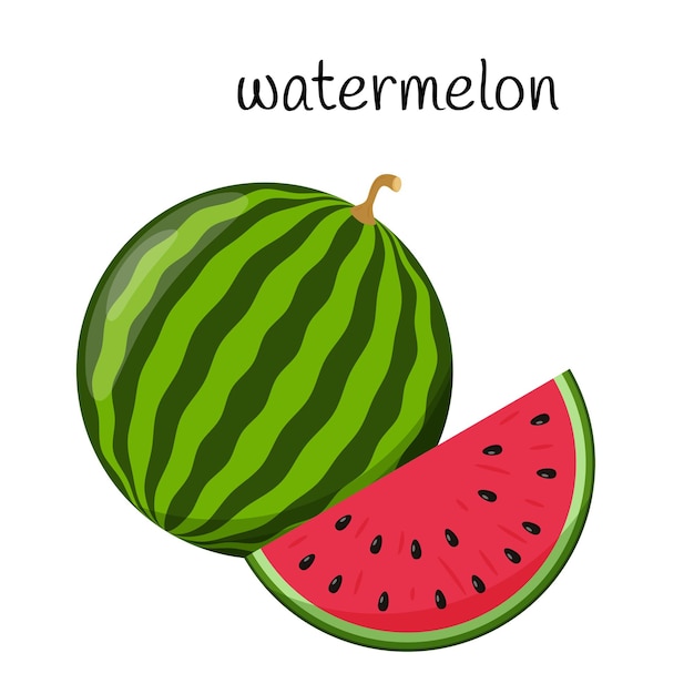 Eine ganze Wassermelone und eine geschnittene Scheibe Wassermelone. Obst, Beeren. Flaches Design.