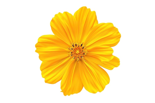 eine gelbe Blume mit einem schwarzen Mittelpunkt