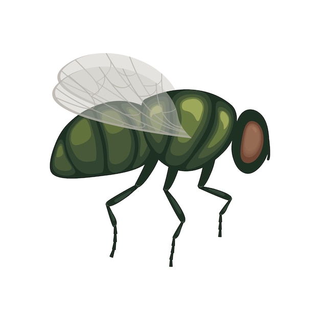 Eine grüne fliege im flug. ein fliegendes insekt. bild einer fliege, seitenansicht. ein fliegendes insekt. vektorillustration lokalisiert auf einem weißen hintergrund