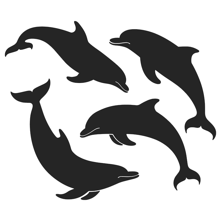 Vektor eine gruppe von vektorillustrationen von jumping dolphin silhouette