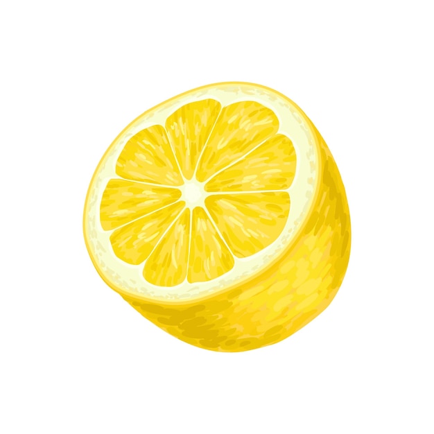 Eine Hälfte der leuchtend gelben Zitrone Saftige Zitrusfrüchte Natürliche und gesunde Lebensmittel Süßes Produkt Paketgestaltungselement für Süßigkeitentee oder Saftbox Detailliertes Vektorsymbol