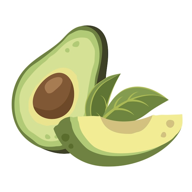 Vektor eine halbe avocado mit grubenfleisch und geschnittener avocado reife avocado-frucht gesunde vegetarische bio-lebensmittel vektor-illustration für einen gesunden lebensstil und eine gute ernährung