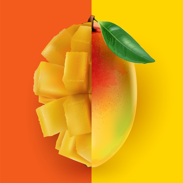 Vektor eine halbe ganze mango kombiniert mit einer halben gewürfelten mango.