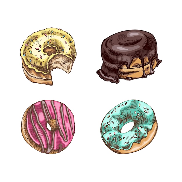 Eine handgezeichnete farbige skizze von donuts vintage-illustration gebäck süßigkeiten dessert