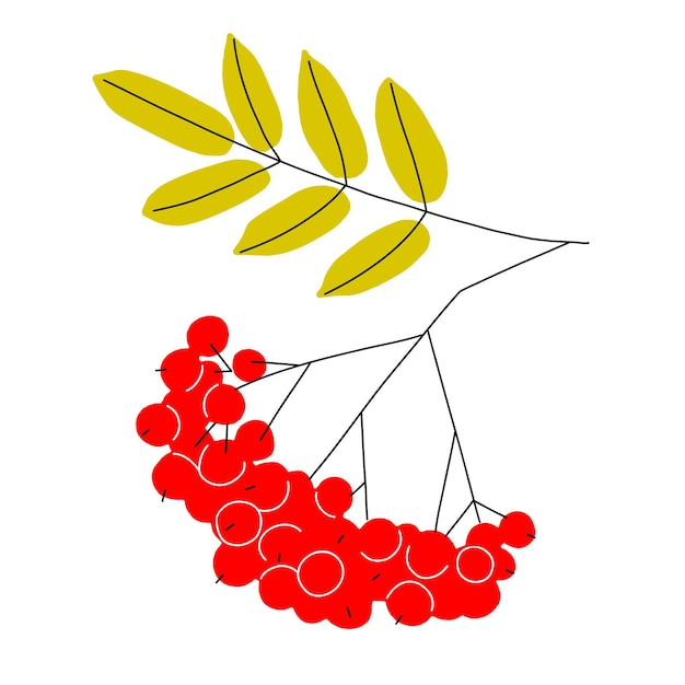 Eine helle Herbst-Illustration von reifen Vogelbeeren auf einem Zweig mit Blättern, die bis zum Herbst vergilbt sind Vektor-Cliparts im flachen Stil Herbstsymbol ist eine Vektorillustration, die auf weißem Hintergrund isoliert ist