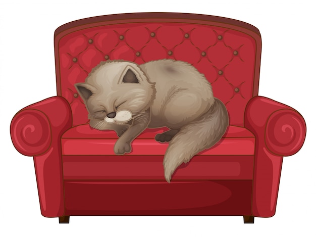 Eine katze, die auf dem sofa schläft