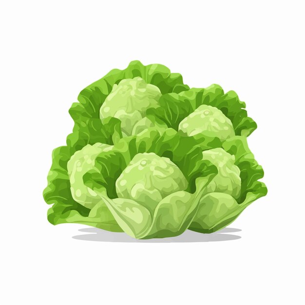 Vektor eine packung salat-vektorbilder im minimalistischen und eleganten stil