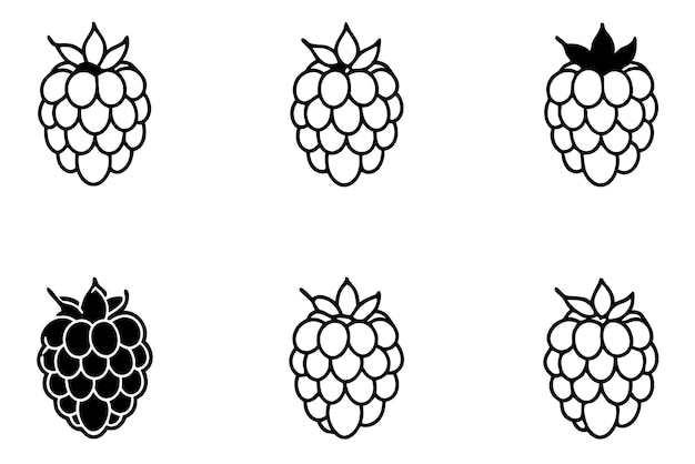 eine Reihe schwarzer und weißer Himbeeren mit schwarzem Hintergrund