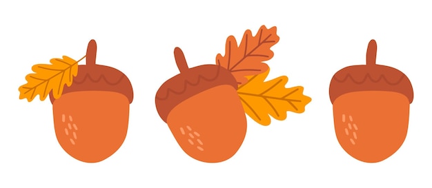 Eine reihe von acorn-symbolen. cartoon-eichel-vektor-icon-set für webdesign