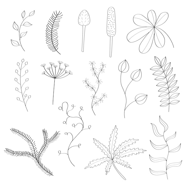 Eine Reihe von Ästen mit Blättern auf weißem Hintergrund. Einfaches Illustrationsdesign des Vektors.