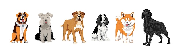 Eine Reihe von Hunden verschiedener Rassen Vektorillustration Setter Spaniel Terrier Mastiff Shiba Inu Akita