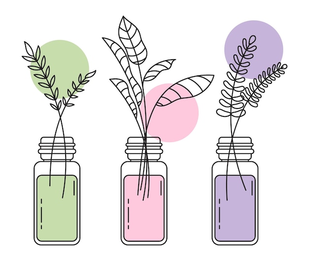 Eine reihe von illustrationen mit blumen und pflanzen zweige mit blättern in vasen