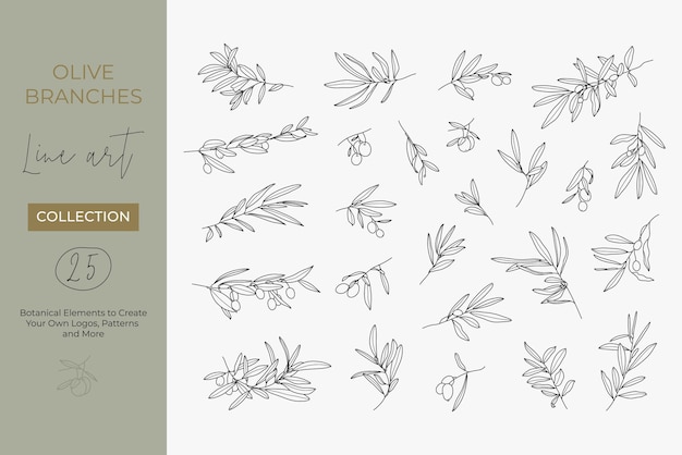 Eine reihe von olivenzweigen in einem modernen linearen minimalstil. vektor-illustrationen von zweigen mit früchten und blättern