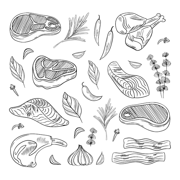 Eine Reihe von rohem Fleisch, Rind, Schweinefleisch, Lamm, Gewürze. Vektorillustration im Stil einer Skizze. Ein Booklet-Banner oder Flyer einer Metzgerei oder eines Ladens