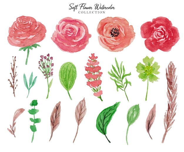 eine Reihe von schönen Rosenblüten und Blättern Aquarell