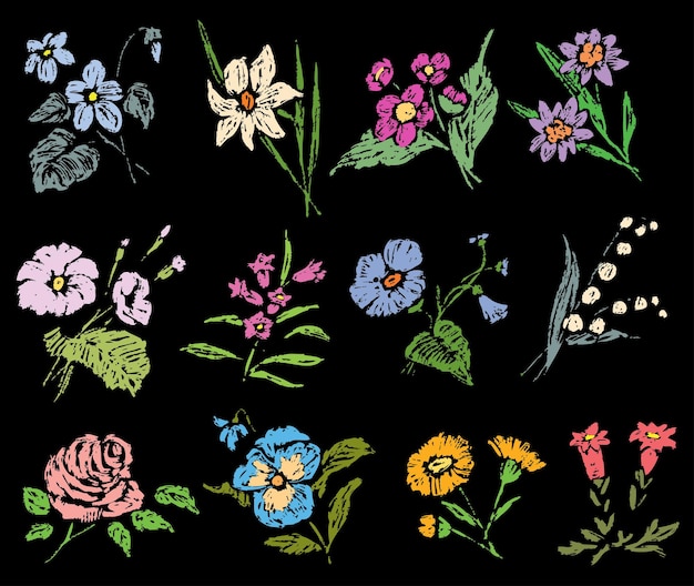 Eine Reihe von Skizzen verschiedener Blumen